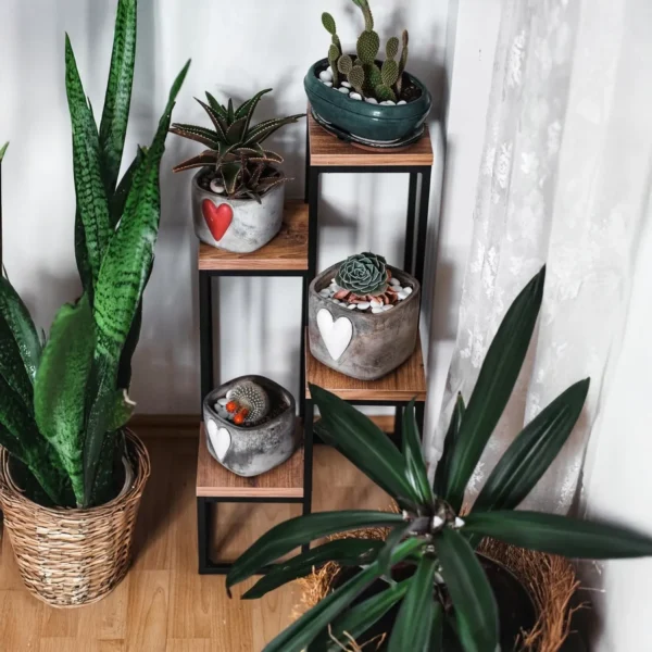 3Decorative Plant Stand